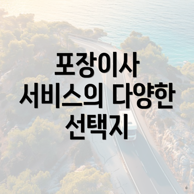 포장이사 서비스의 다양한 선택지