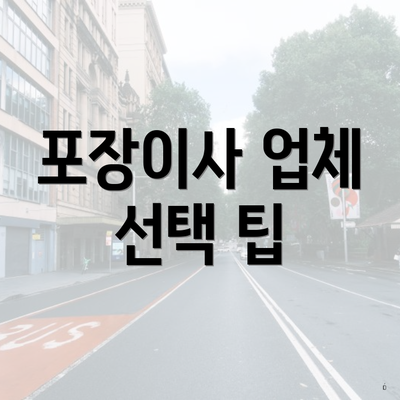 포장이사 업체 선택 팁