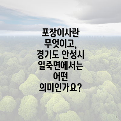 포장이사란 무엇이고, 경기도 안성시 일죽면에서는 어떤 의미인가요?
