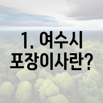1. 여수시 포장이사란?