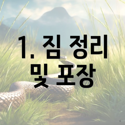 1. 짐 정리 및 포장