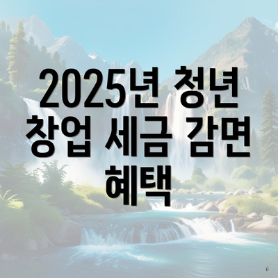 2025년 청년 창업 세금 감면 혜택