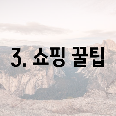 3. 쇼핑 꿀팁