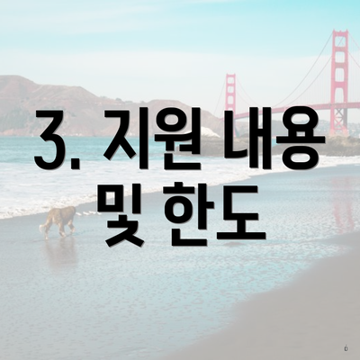 3. 지원 내용 및 한도