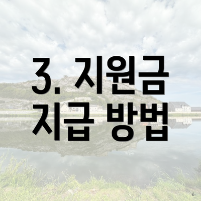 3. 지원금 지급 방법