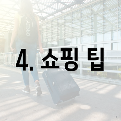 4. 쇼핑 팁