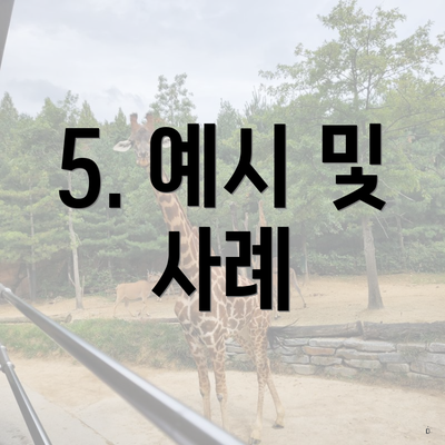 5. 예시 및 사례