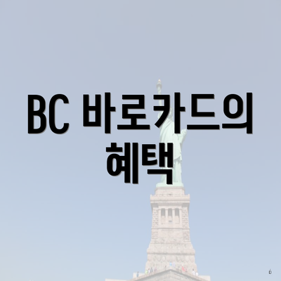 BC 바로카드의 혜택