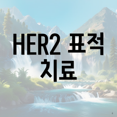 HER2 표적 치료