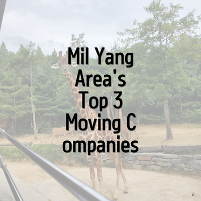 Mil Yang Area's Top 3 Moving Companies