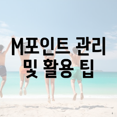 M포인트 관리 및 활용 팁