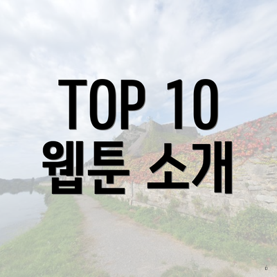 TOP 10 웹툰 소개