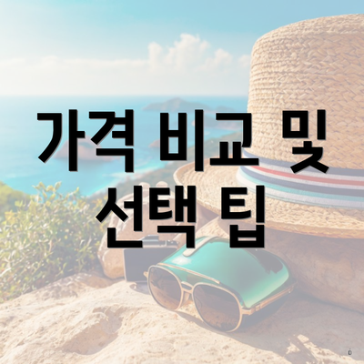가격 비교 및 선택 팁