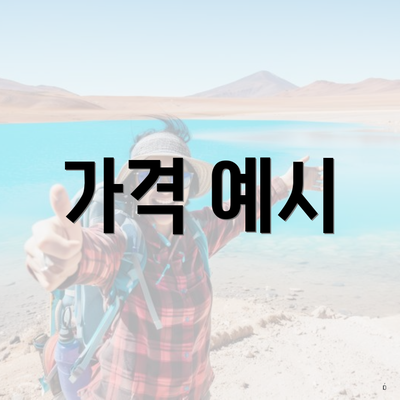 가격 예시