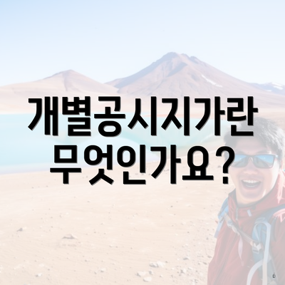 개별공시지가란 무엇인가요?