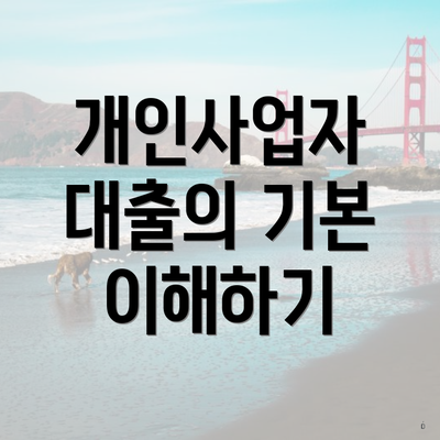 개인사업자 대출의 기본 이해하기