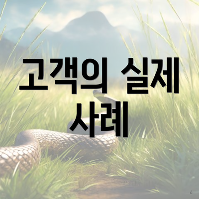 고객의 실제 사례