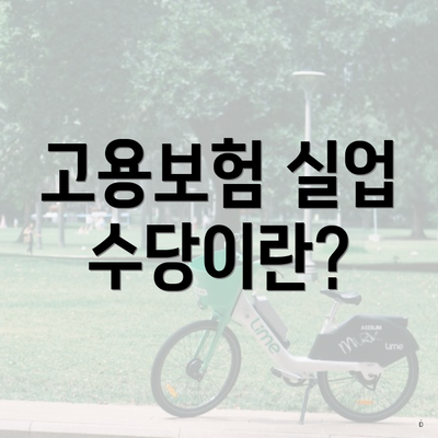 고용보험 실업 수당이란?