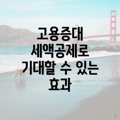 고용증대 세액공제로 기대할 수 있는 효과