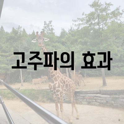 고주파의 효과