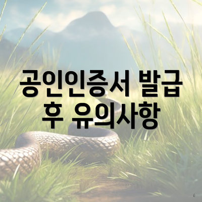 공인인증서 발급 후 유의사항