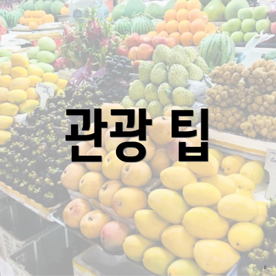 관광 팁