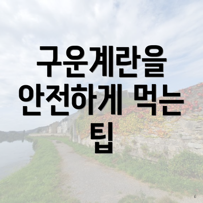구운계란을 안전하게 먹는 팁