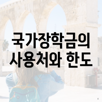 국가장학금의 사용처와 한도