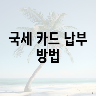 국세 카드 납부 방법