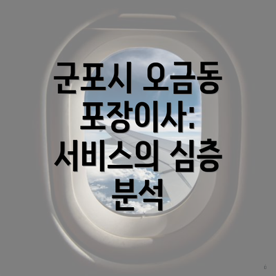 군포시 오금동 포장이사: 서비스의 심층 분석