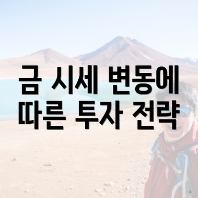 금 시세 변동에 따른 투자 전략