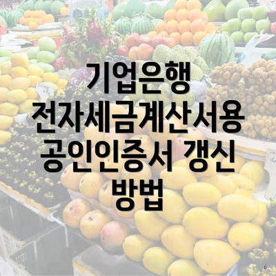 기업은행 전자세금계산서용 공인인증서 갱신 방법