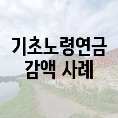 기초노령연금 감액 사례