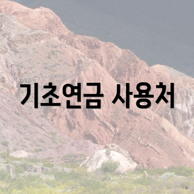 기초연금 사용처