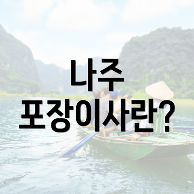 나주 포장이사란?