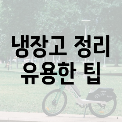 냉장고 정리 유용한 팁