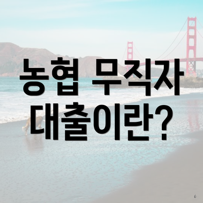 농협 무직자 대출이란?