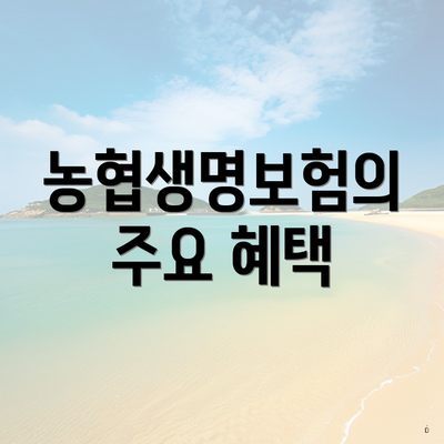 농협생명보험의 주요 혜택