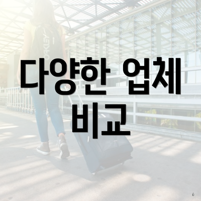 다양한 업체 비교