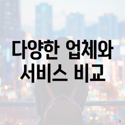 다양한 업체와 서비스 비교