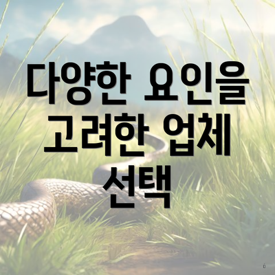 다양한 요인을 고려한 업체 선택