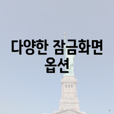 다양한 잠금화면 옵션