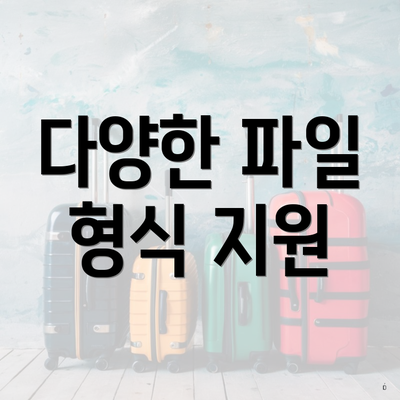 다양한 파일 형식 지원