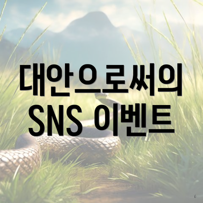 대안으로써의 SNS 이벤트