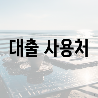 대출 사용처