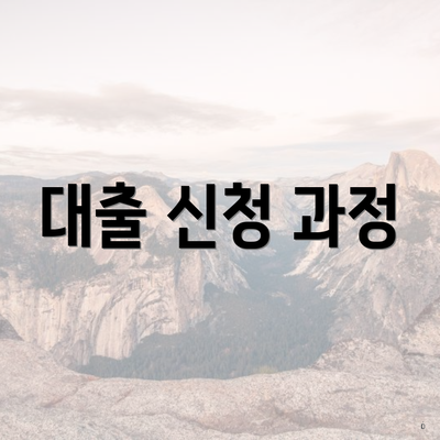 대출 신청 과정