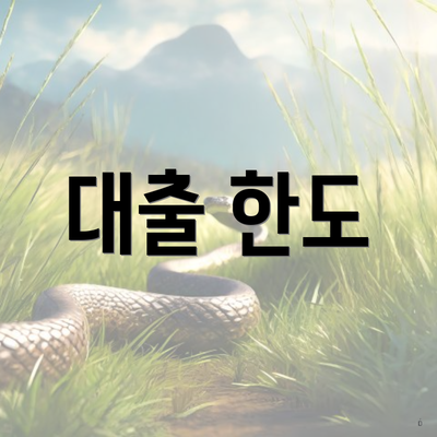 대출 한도