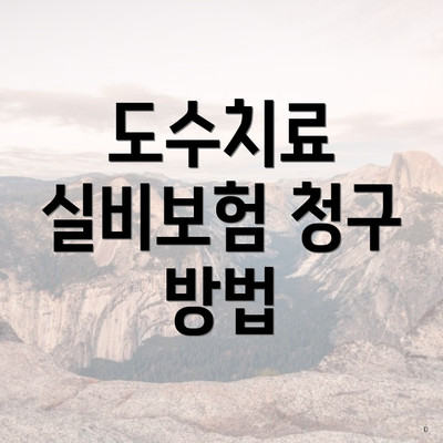 도수치료 실비보험 청구 방법