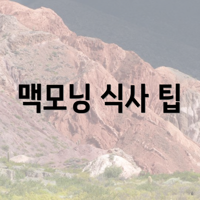 맥모닝 식사 팁