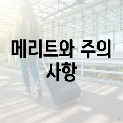 메리트와 주의 사항